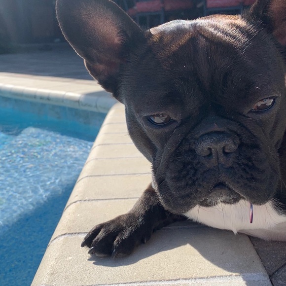 ❤️Welcome! I’m Matilda!!❤️ - Picture 10 of 12